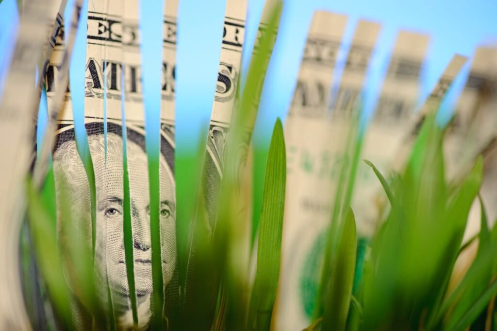 Central Banks and the Green Economy: A Path to Sustainable Growth