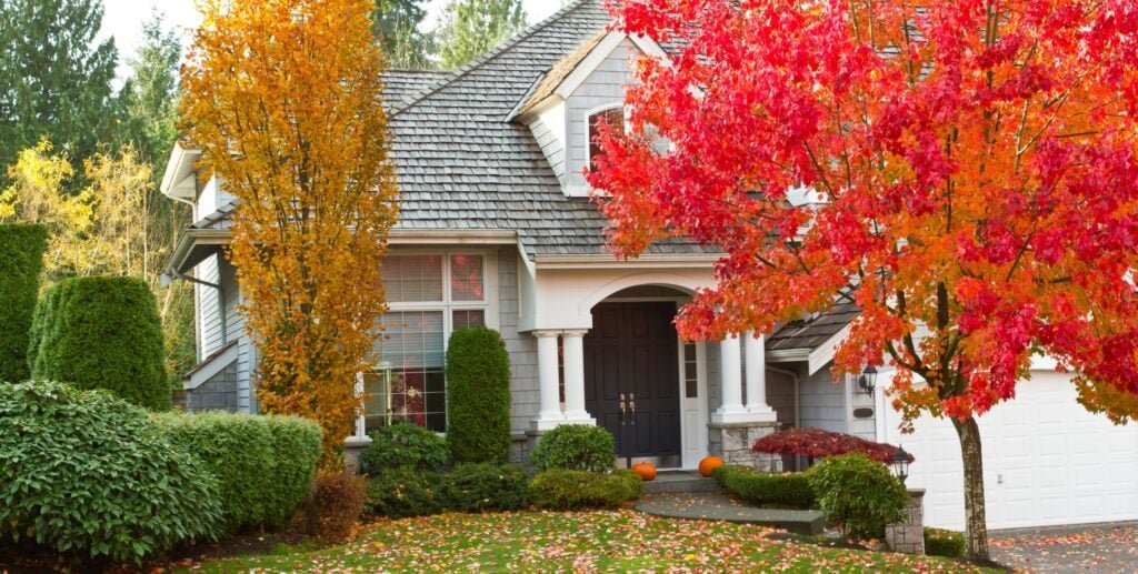 Where New Investors Should Be Looking to Buy This Fall