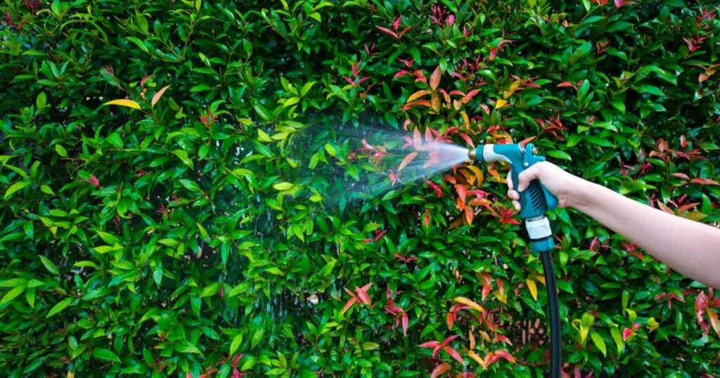 5 Best Garden Hose Nozzles For Easier Watering Sessions 