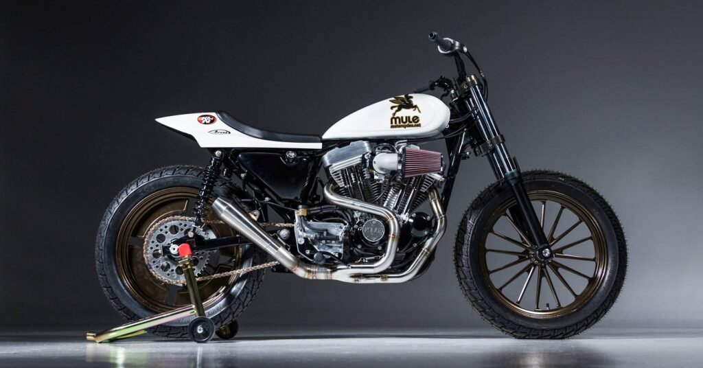 Keep 'em Coming: A white-hot Hooligan Sportster by Mule