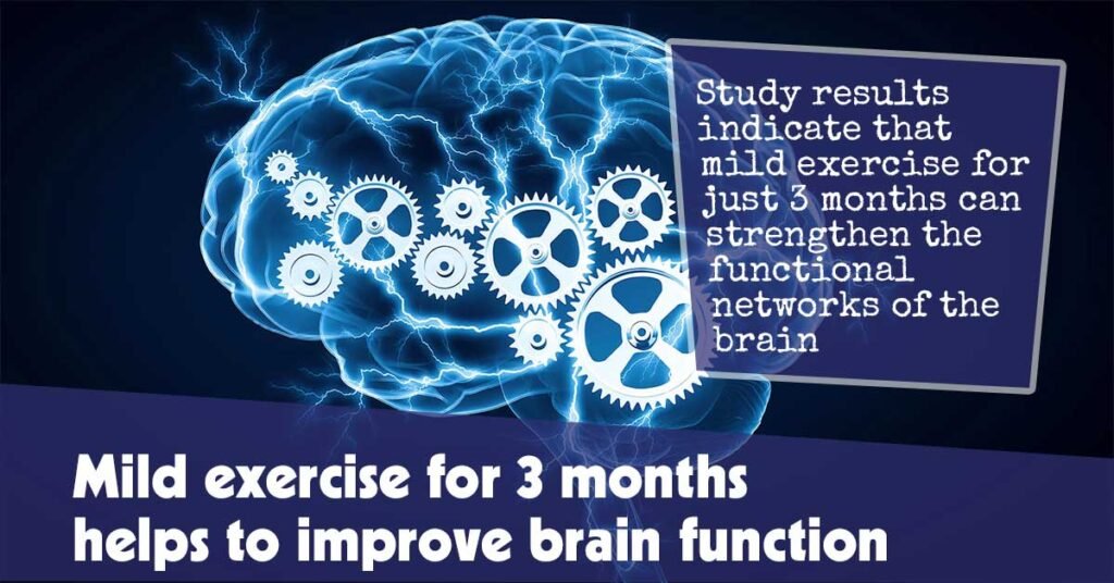 Mild Exercise For 3 Months Helps To Improve Brain Function F