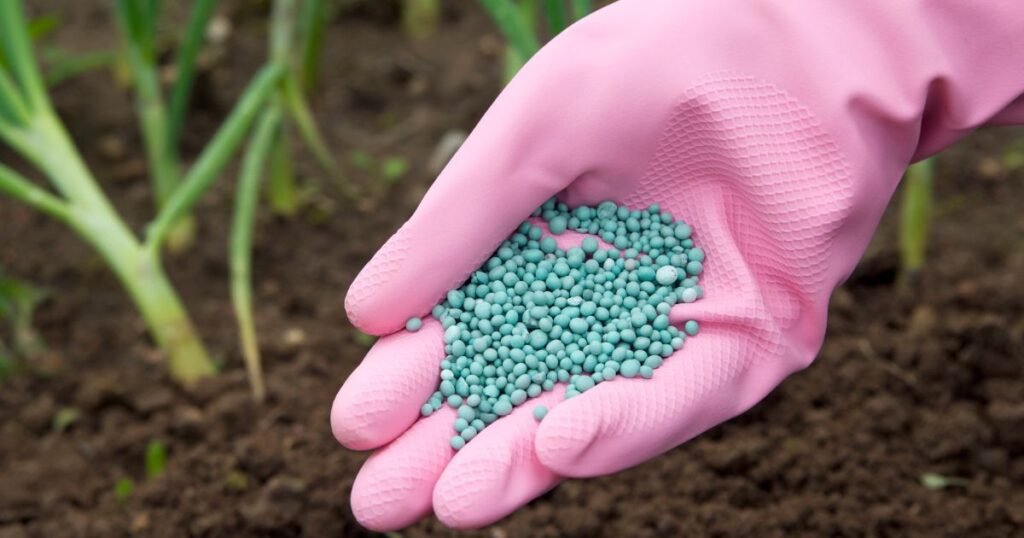 The Best Fertilizer for Vegetable Gardens in 2024 